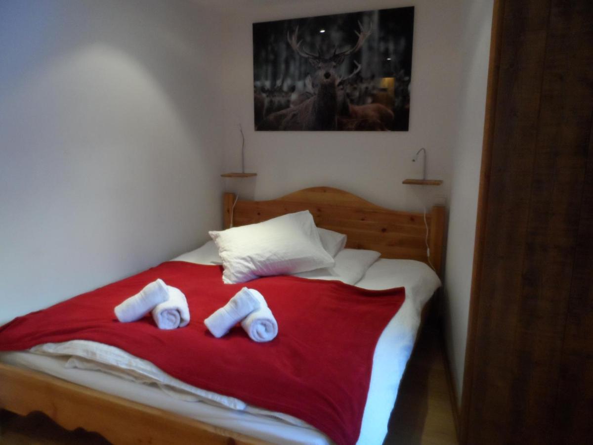 Prachtig Familie Appartement Voor 6 Personen In Het Hart Van Argentiere, Chamonix Mont-Blanc エクステリア 写真